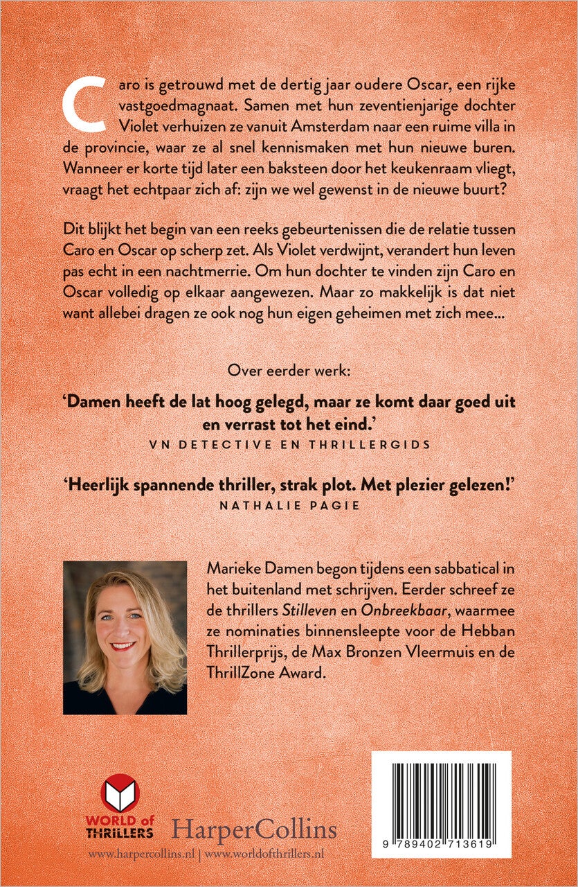 Het perfecte gezin (E-book) Het perfecte gezin (E-book)
