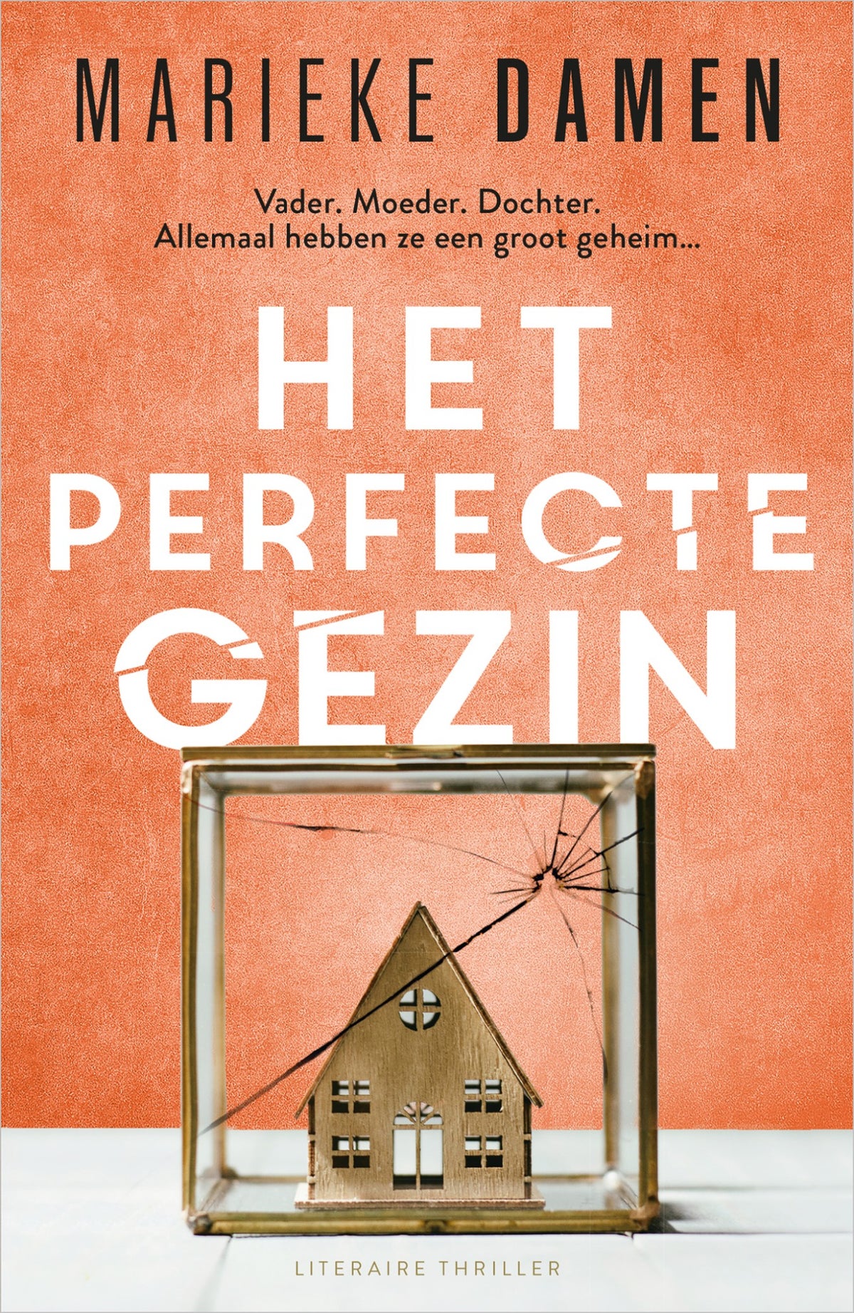 Het perfecte gezin (E-book) Het perfecte gezin (E-book)