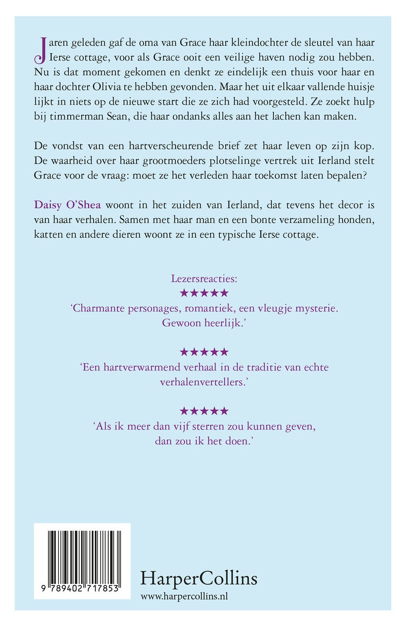 De Ierse sleutel (E-book) De Ierse sleutel (E-book)