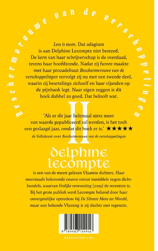 Beschermvrouwe van de verschoppelingen (Paperback) Beschermvrouwe van de verschoppelingen (Paperback)