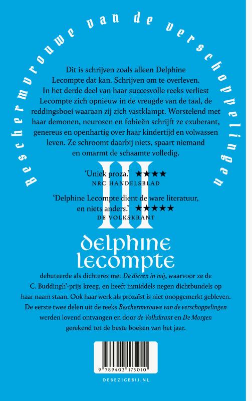 Beschermvrouwe van de verschoppelingen (Paperback) Beschermvrouwe van de verschoppelingen (Paperback)