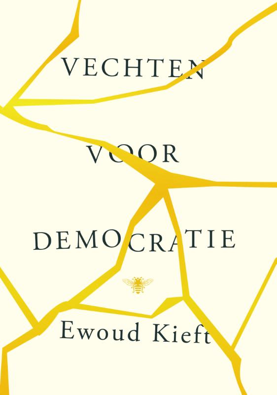 Vechten voor democratie (Hardback) Vechten voor democratie (Hardback)