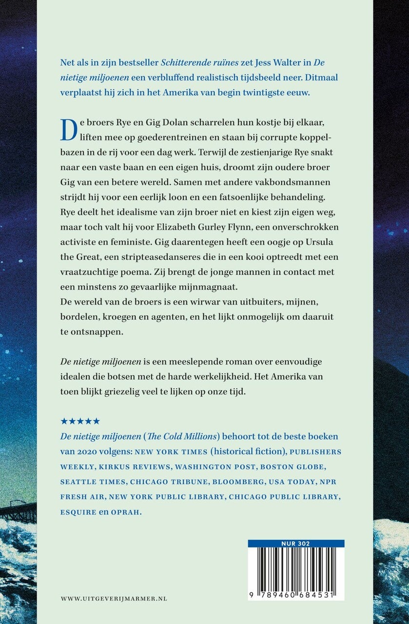 De nietige miljoenen (E-book) De nietige miljoenen (E-book)