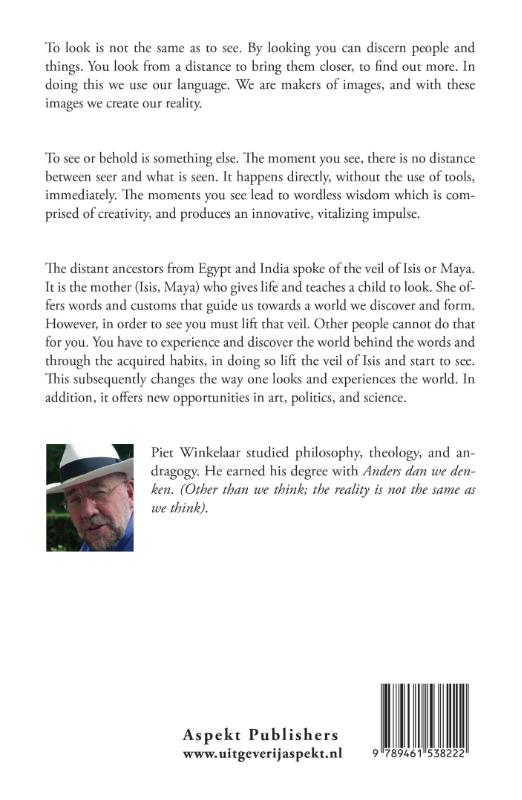 The important difference between looking and seeing (Paperback) The important difference between looking and seeing (Paperback)