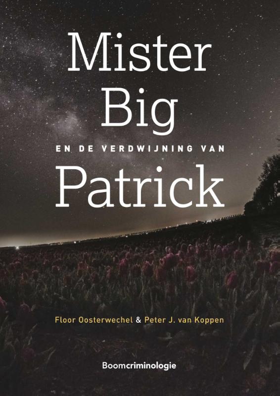 Mister Big en de verdwijning van Patrick (Paperback) Mister Big en de verdwijning van Patrick (Paperback)