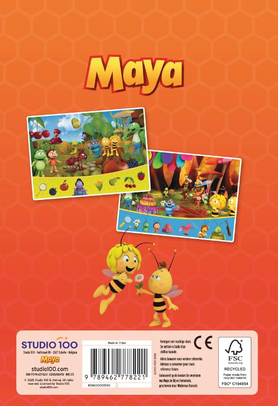 Maya: Mini zoekboek (Hardback) Maya: Mini zoekboek (Hardback)