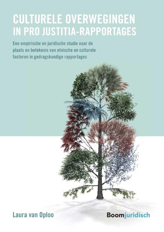 Culturele overwegingen in pro Justitia-rapportages (Paperback) Culturele overwegingen in pro Justitia-rapportages (Paperback)