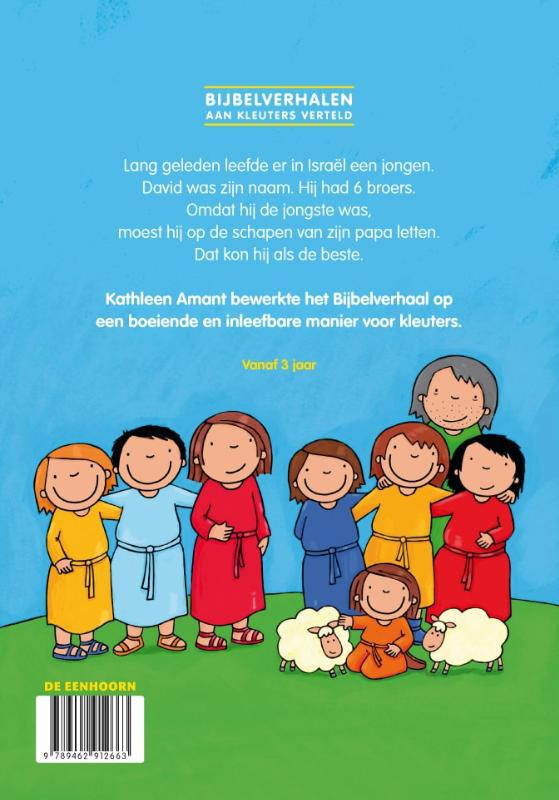 Het verhaal van David en Goliath (Hardback) Het verhaal van David en Goliath (Hardback)