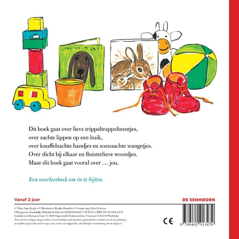 Dit boek gaat over jou (Kartonboek) Dit boek gaat over jou (Kartonboek)