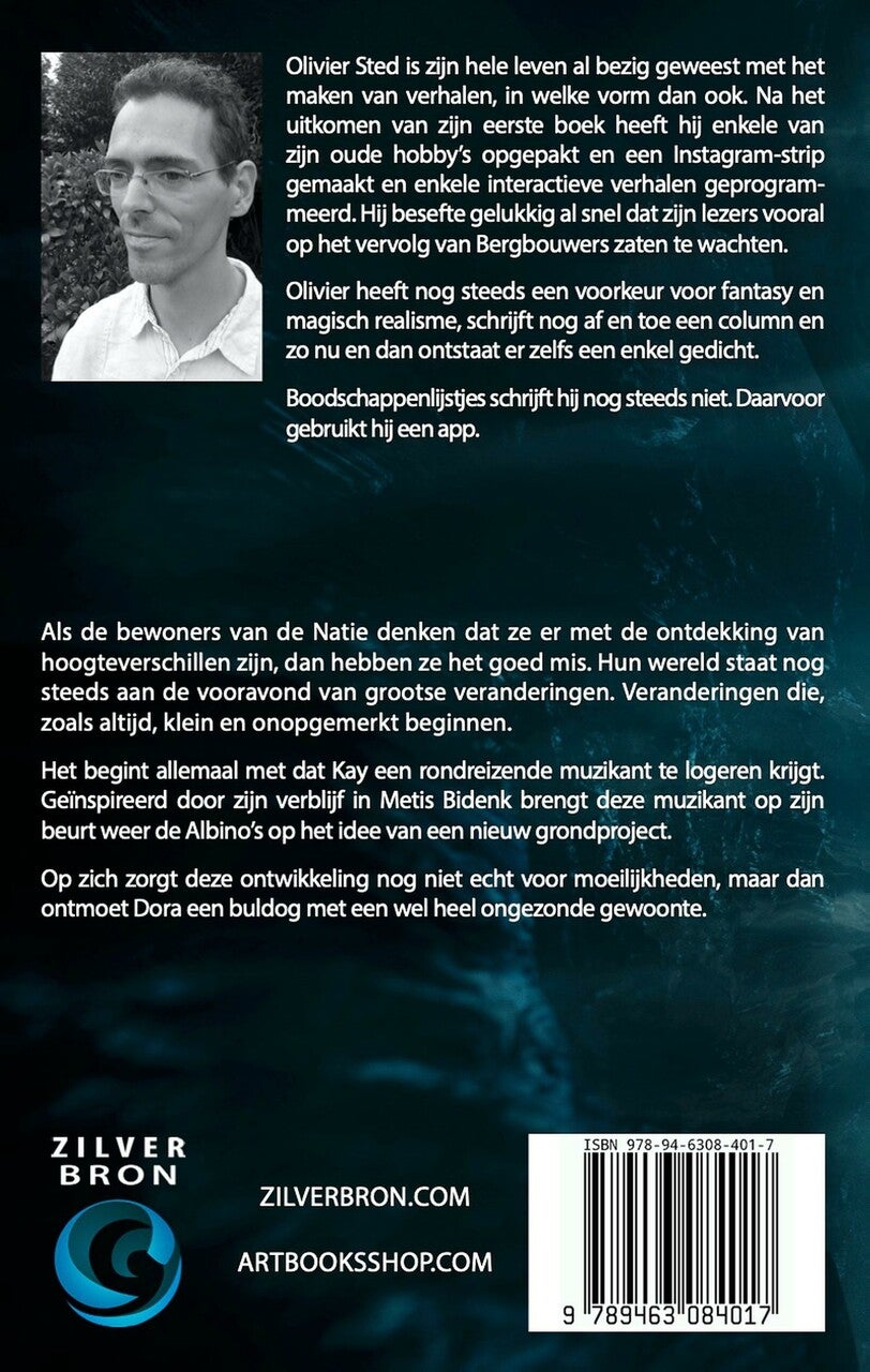 Lichtmetaal (E-book) Lichtmetaal (E-book)