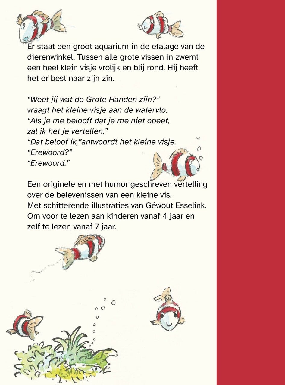 Het kleine visje met de grote handen (E-book) Het kleine visje met de grote handen (E-book)
