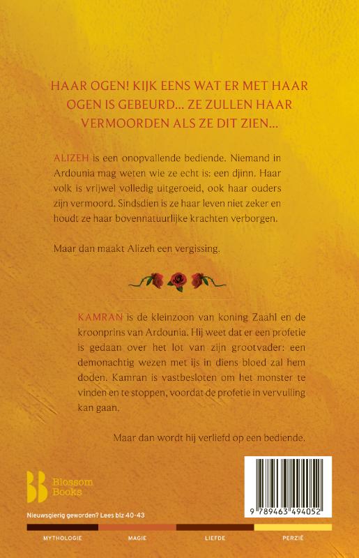 Alizeh. De duistere profetie (Paperback) Alizeh. De duistere profetie (Paperback)