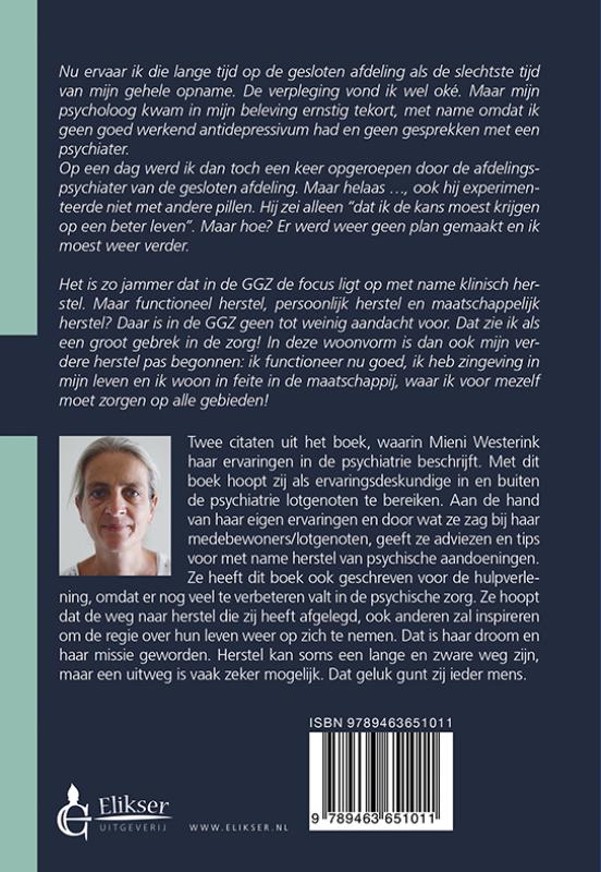 Herstel na dertien jaar overleven in de psychiatrie (Paperback) Herstel na dertien jaar overleven in de psychiatrie (Paperback)