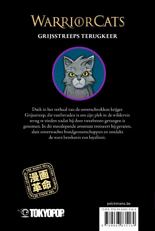 De verloren krijger (Paperback) De verloren krijger (Paperback)