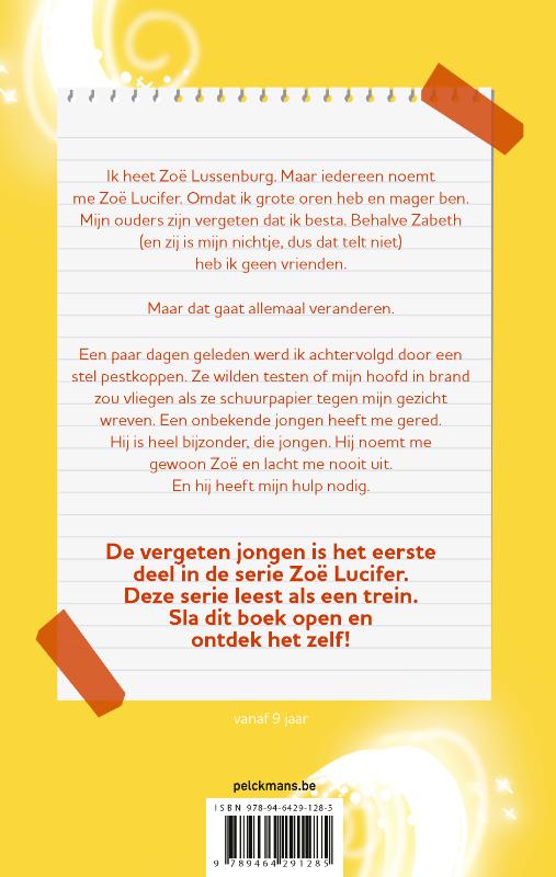 De vergeten jongen (Paperback) De vergeten jongen (Paperback)