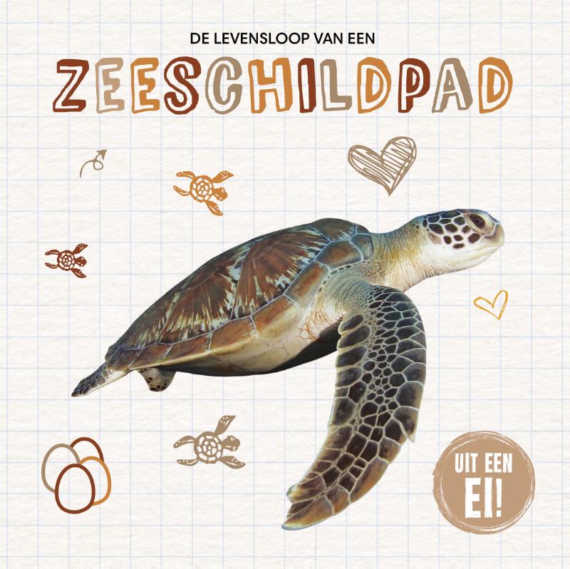 De levensloop van een zeeschildpad (Hardback) De levensloop van een zeeschildpad (Hardback)