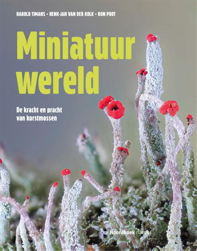 Miniatuurwereld (Hardback) Miniatuurwereld (Hardback)