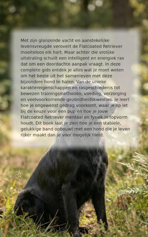 Alles over de Flatcoated Retriever (Paperback) Alles over de Flatcoated Retriever (Paperback)