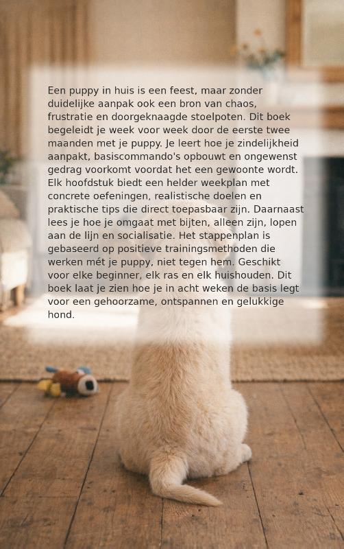 Puppytraining in 8 weken (Paperback) Puppytraining in 8 weken (Paperback)
