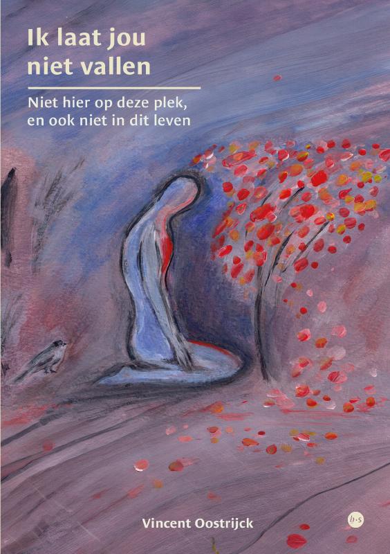Ik laat jou niet vallen (Paperback) Ik laat jou niet vallen (Paperback)