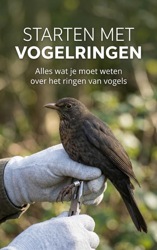 9789465480381_frontcover