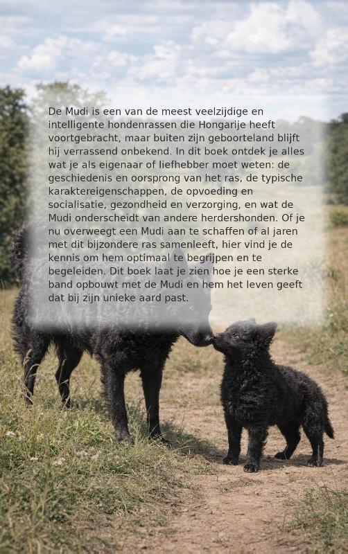 Alles over de Mudi (Paperback) Alles over de Mudi (Paperback)