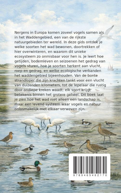 De Vogels van de Wadden (Paperback) De Vogels van de Wadden (Paperback)