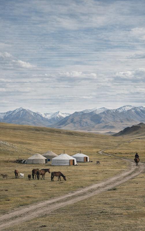Alles over Mongolië (Paperback) Alles over Mongolië (Paperback)