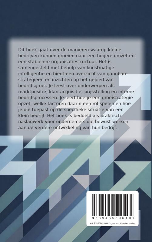 Hoe kleine bedrijven groot worden (Paperback) Hoe kleine bedrijven groot worden (Paperback)