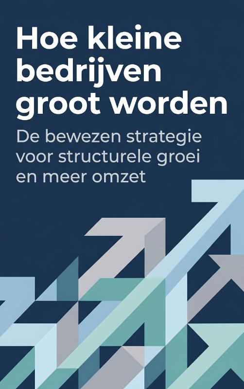 Hoe kleine bedrijven groot worden (Paperback) Hoe kleine bedrijven groot worden (Paperback)