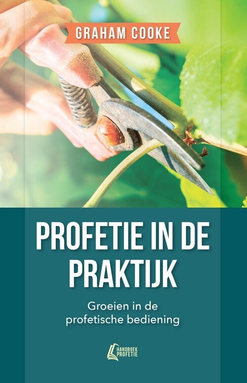 Profetie in de praktijk (Paperback) Profetie in de praktijk (Paperback)