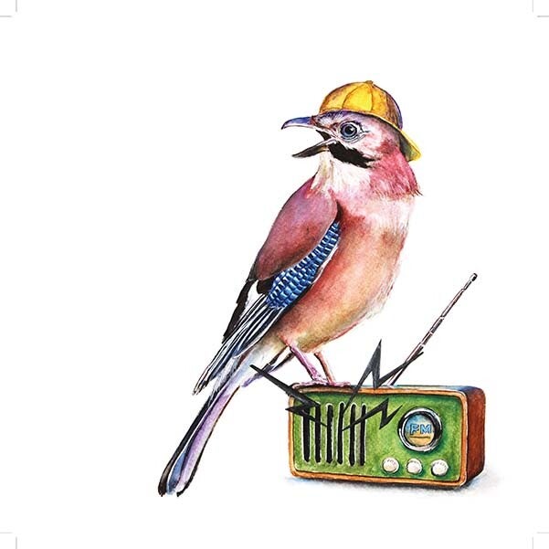 Fogul (Hardback) Fogul (Hardback)