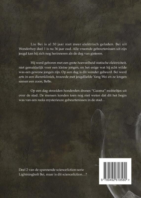 Wonder Boy (Paperback) Wonder Boy (Paperback)