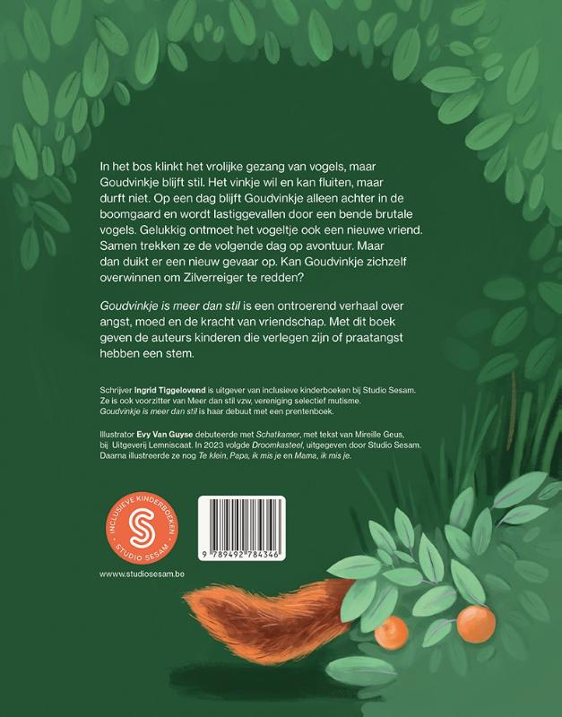 Goudvinkje is meer dan stil (Hardback) Goudvinkje is meer dan stil (Hardback)