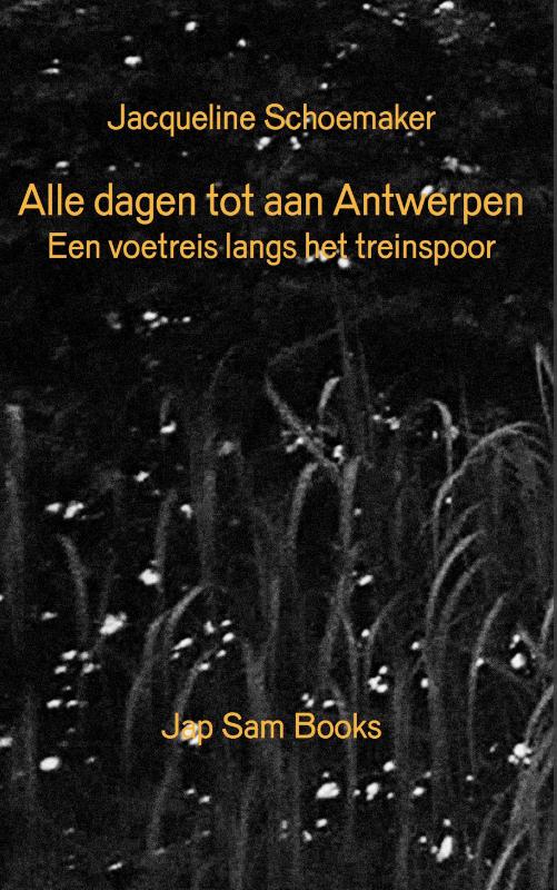 Every Day until antwerp/Alle dagen tot aan Antwerpen (Paperback) Every Day until antwerp/Alle dagen tot aan Antwerpen (Paperback)