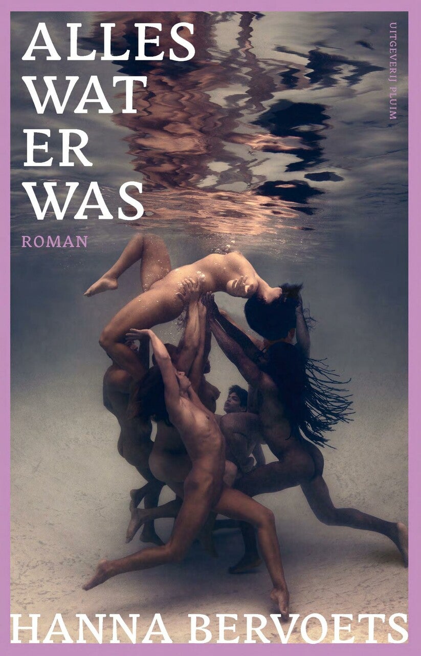Alles wat er was (E-book) Alles wat er was (E-book)