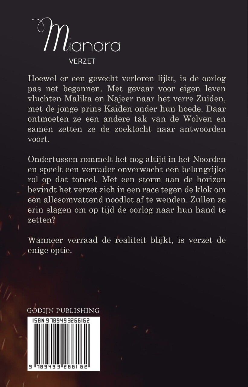 Verzet (E-book) Verzet (E-book)