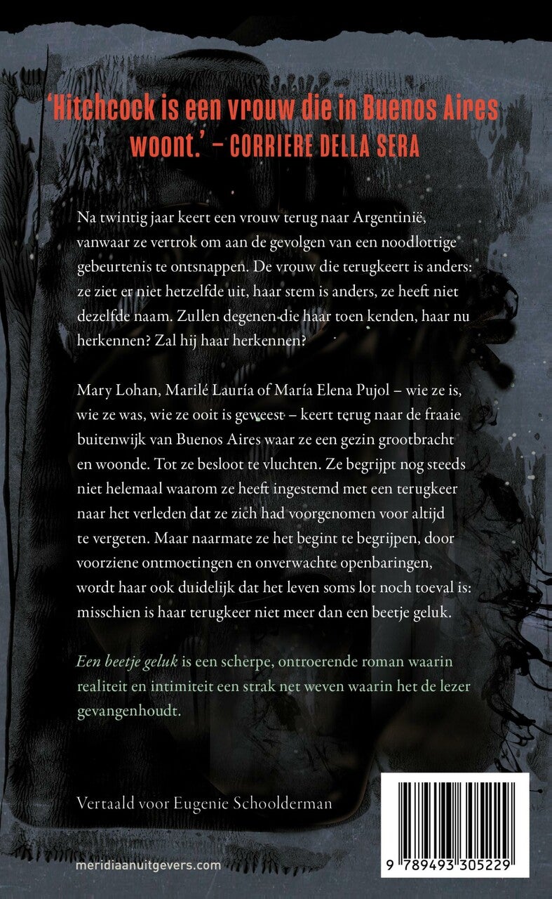 Een beetje geluk (E-book) Een beetje geluk (E-book)