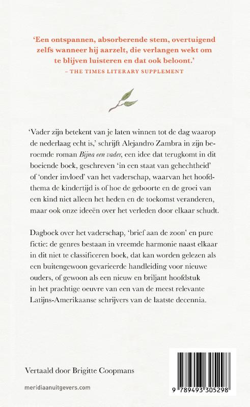 Vadertaal (Paperback) Vadertaal (Paperback)