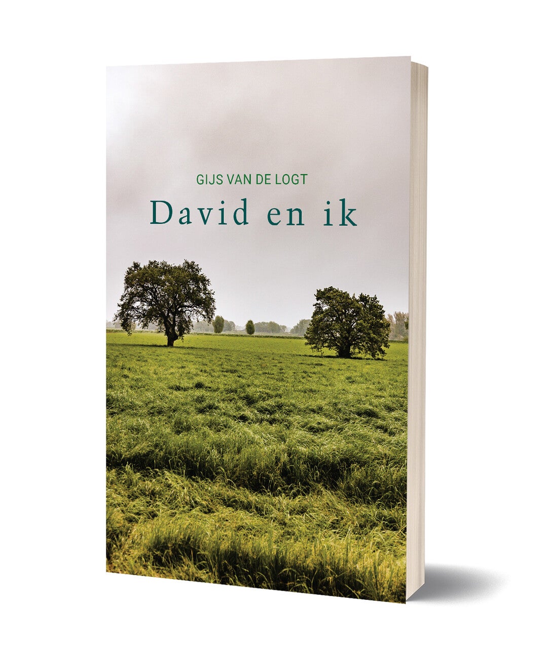 David en ik (E-book) David en ik (E-book)