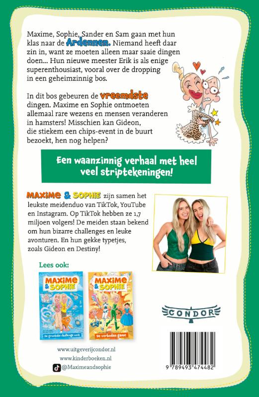 Het geheime bos (Hardback) Het geheime bos (Hardback)
