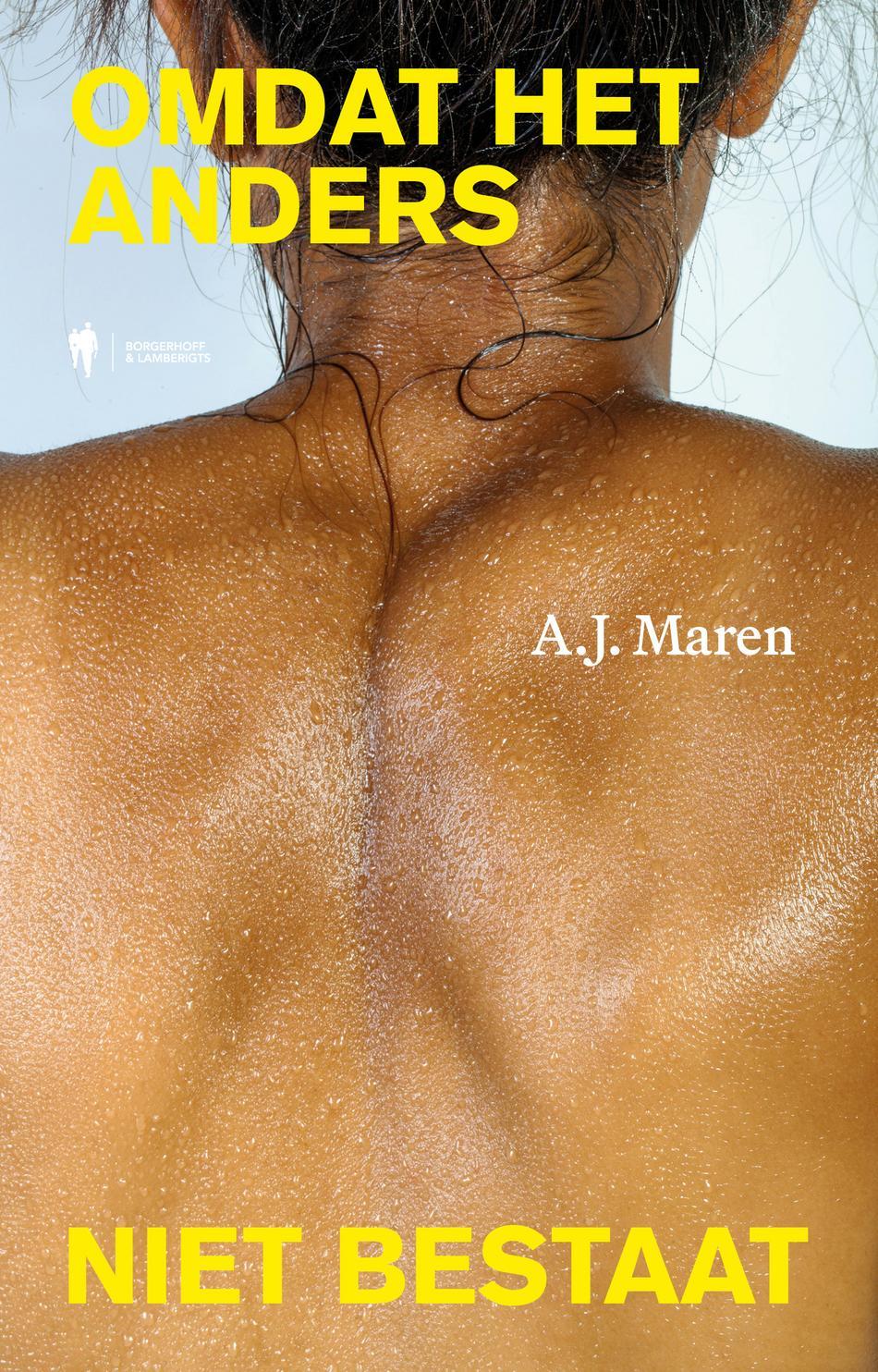 Omdat het anders niet bestaat (E-book) Omdat het anders niet bestaat (E-book)