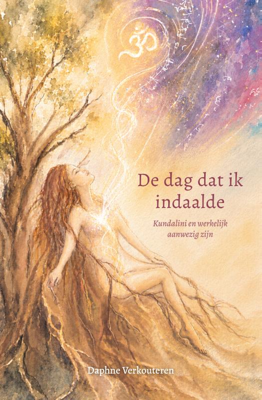 De dag dat ik indaalde (Paperback) De dag dat ik indaalde (Paperback)