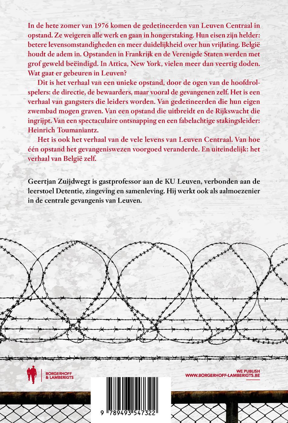 Hoe één zomer de gevangenis voorgoed veranderde (E-book) Hoe één zomer de gevangenis voorgoed veranderde (E-book)