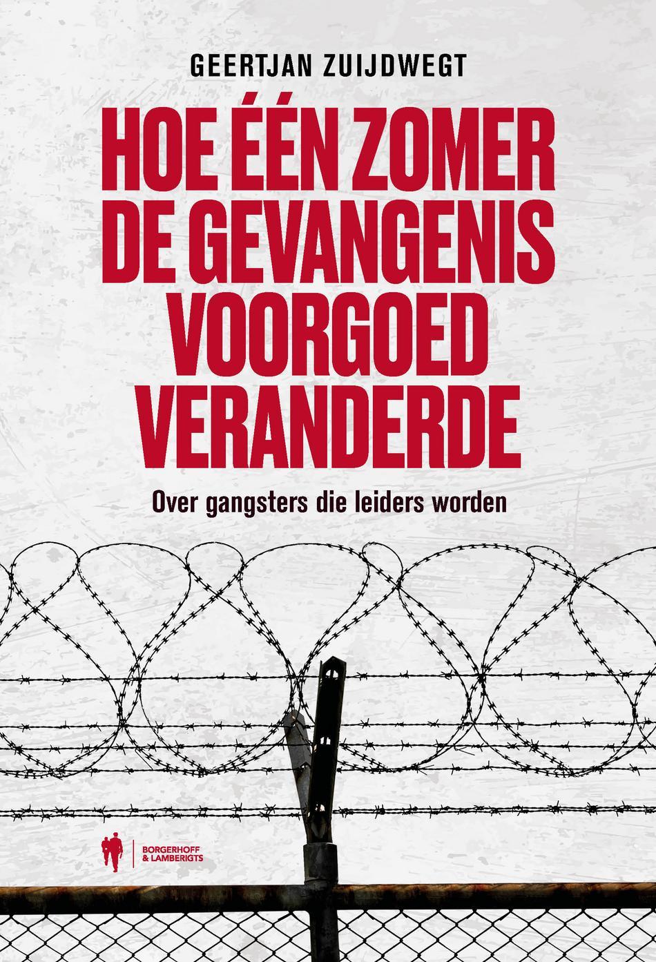 Hoe één zomer de gevangenis voorgoed veranderde (E-book) Hoe één zomer de gevangenis voorgoed veranderde (E-book)