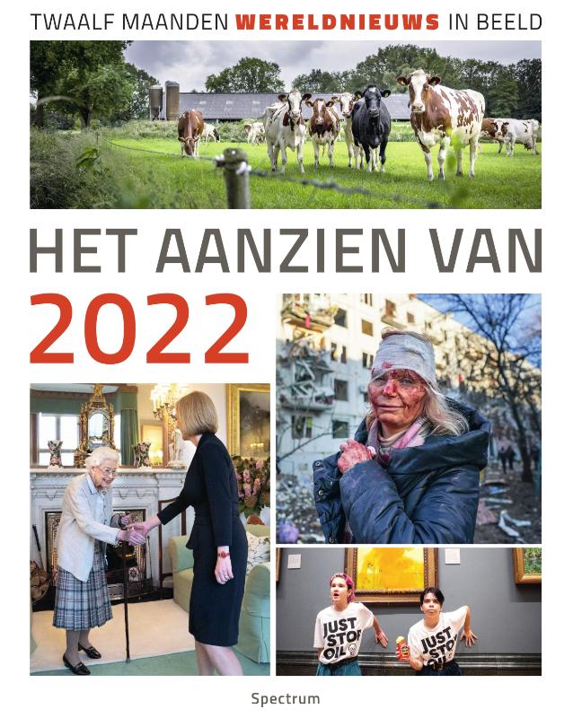 Het aanzien van 2022 (Hardback)