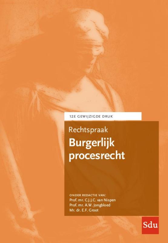 Rechtspraak Burgerlijk procesrecht (Paperback)