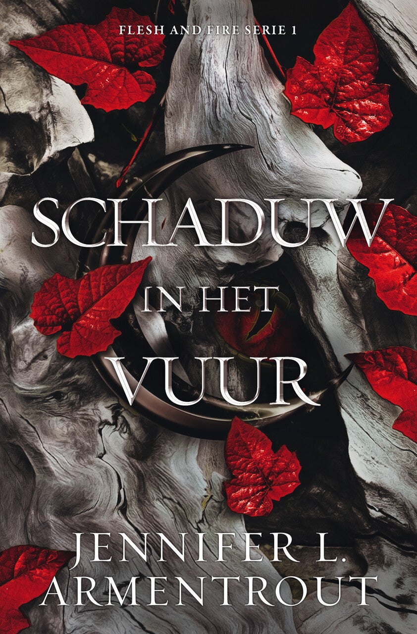 Schaduw in het vuur (Paperback)