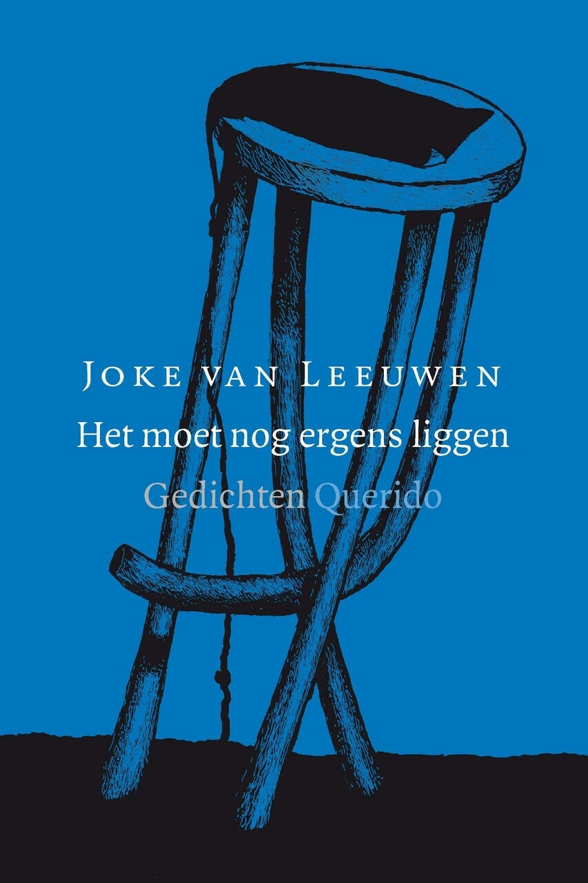 Het moet nog ergens liggen (Paperback)