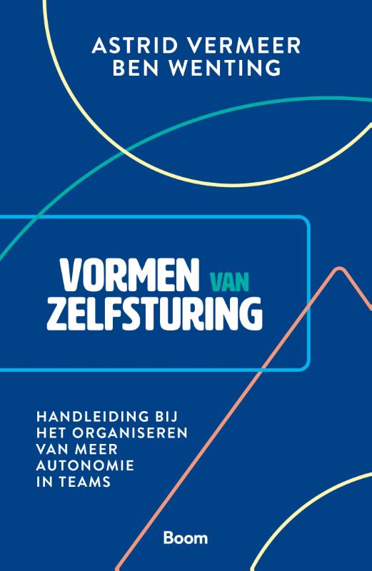 Vormen van zelfsturing (Paperback)